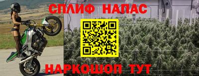 спайс Заволжье