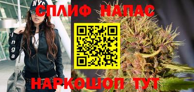 дживик Жуковский