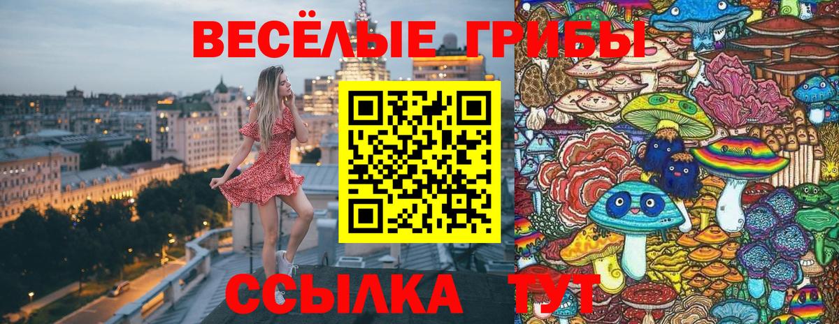 Майский  Галлюциногенные грибы Cubensis  Вход с VPN 